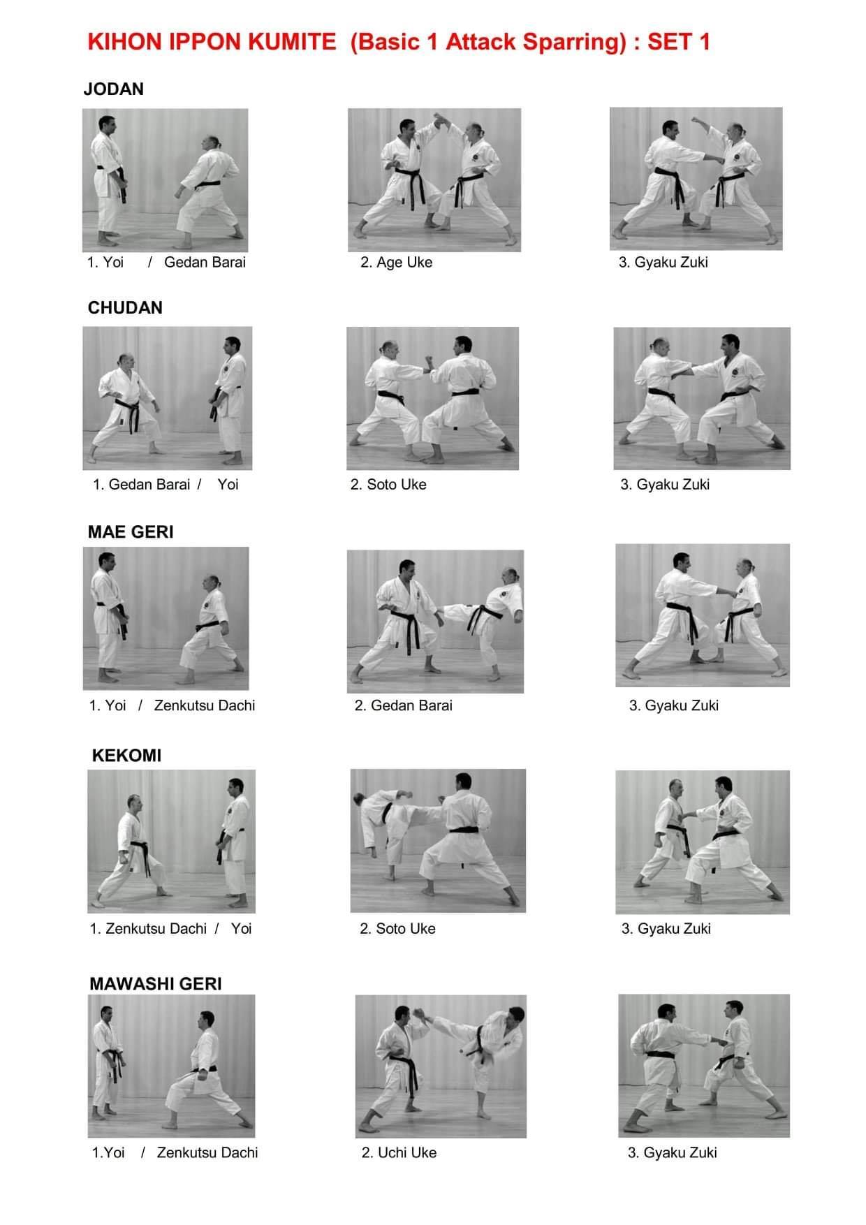 21 đòn KIHON IPPON KUMITE trong Karate