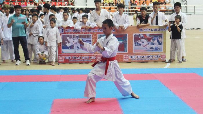 Ngày 11/8 sẽ khai mạc Giải Vô địch các CLB Karate tỉnh Hà Nam mở rộng lần thứ nhất năm 2024