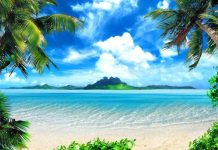 Danh Sách Các Câu Lạc Bộ Karate Uy Tín Tại Tỉnh Quảng Ngãi