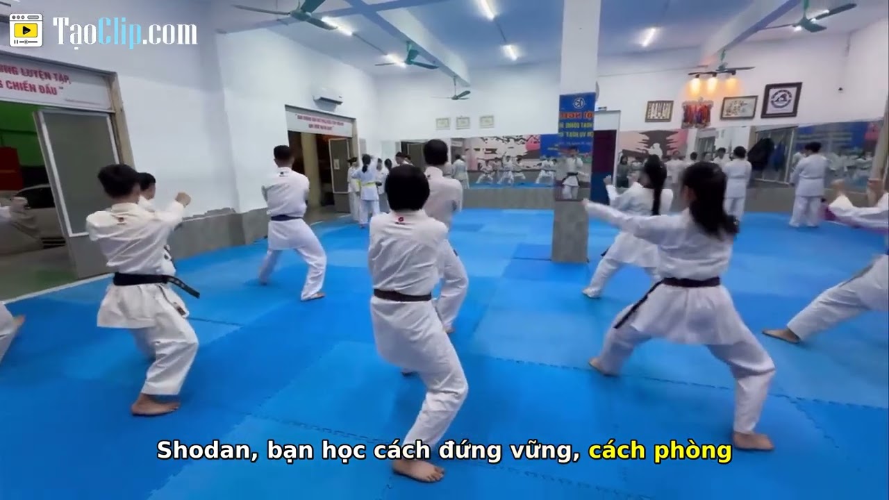 Bí Mật Quyền Karate: Hơn Cả Đấm Đá, Chạm Tới Tinh Thần Võ Sĩ!
