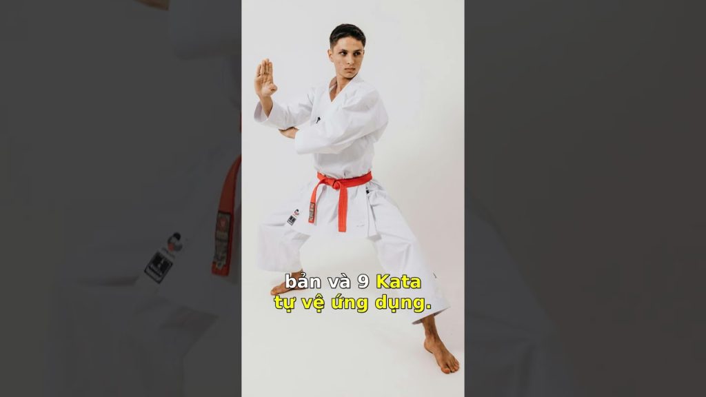 Sự Thật Bất Ngờ Về Số Lượng Bài Quyền Karate