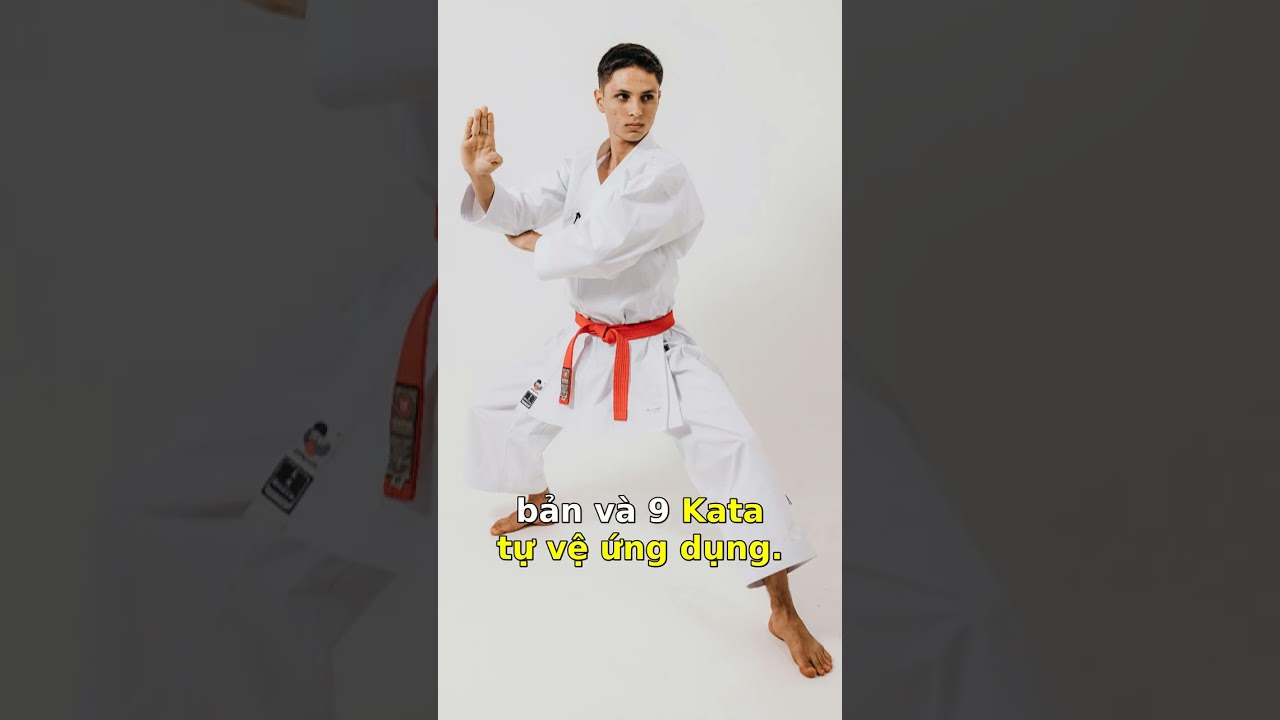 Sự Thật Bất Ngờ Về Số Lượng Bài Quyền Karate
